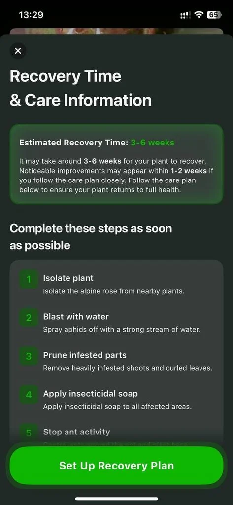 Set up recovery plan