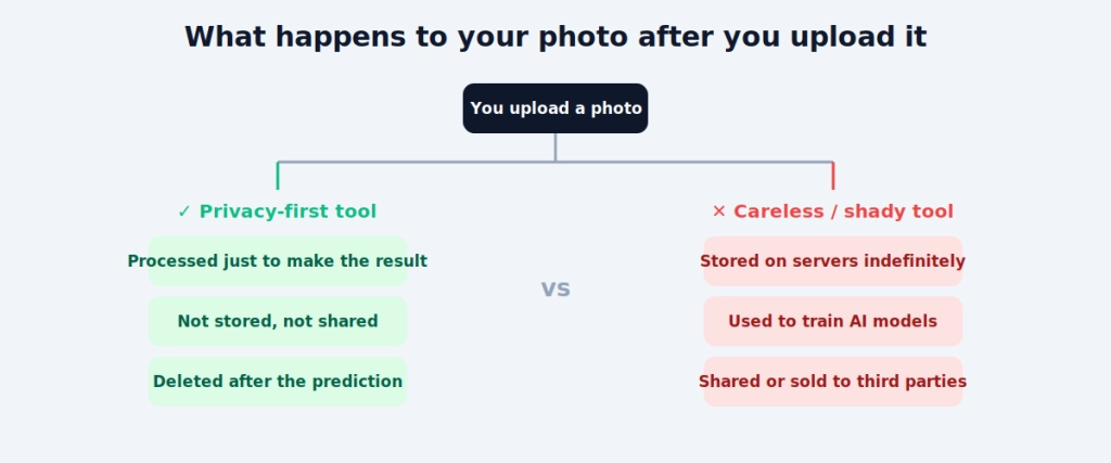 What actually happens to a photo you upload?