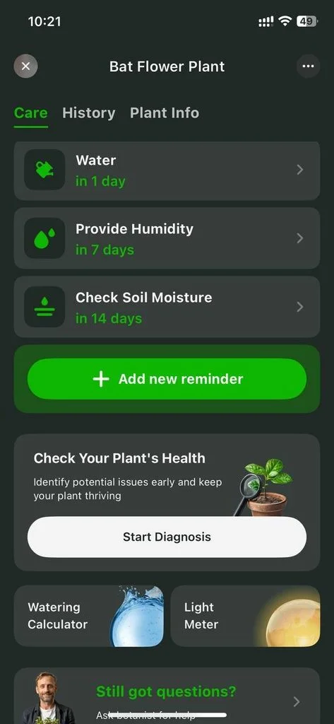 best flower plant