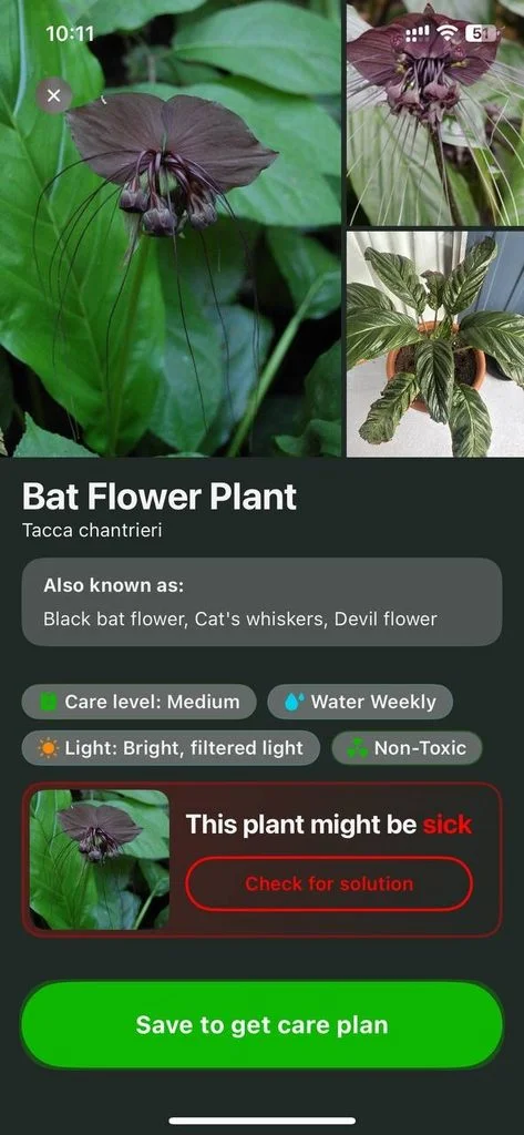 Botan Plant Identifier