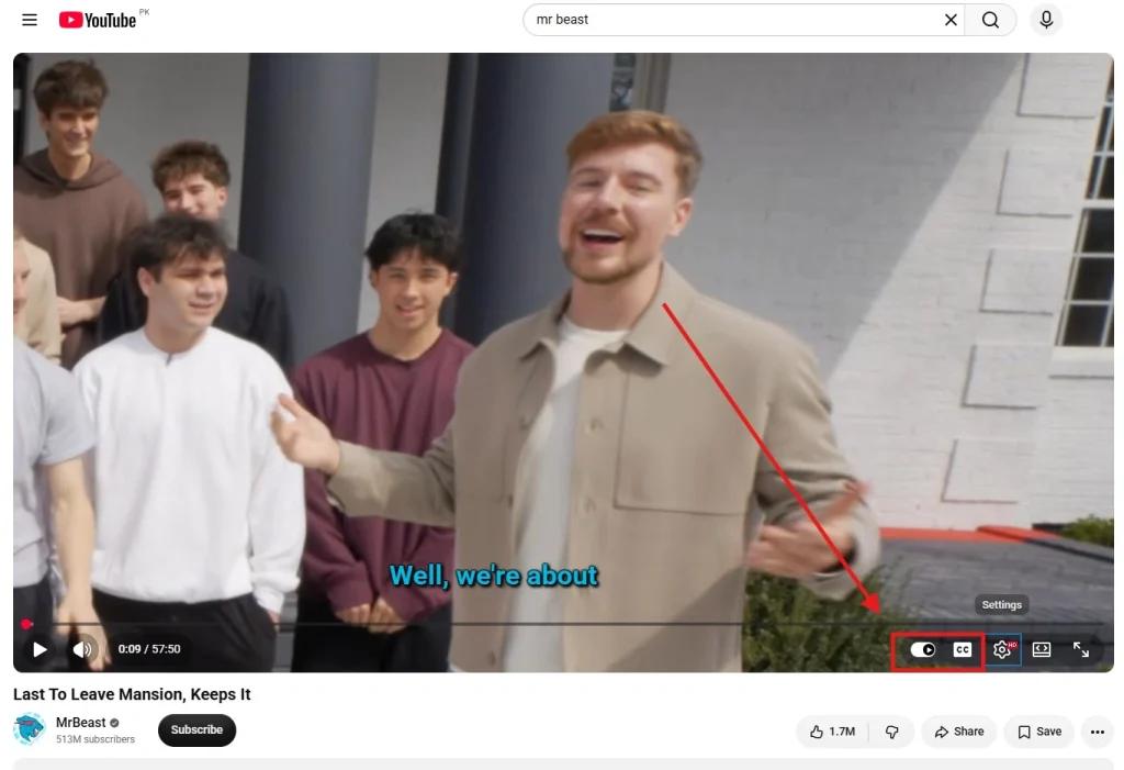 Disable Auto-Play on Streaming Platforms