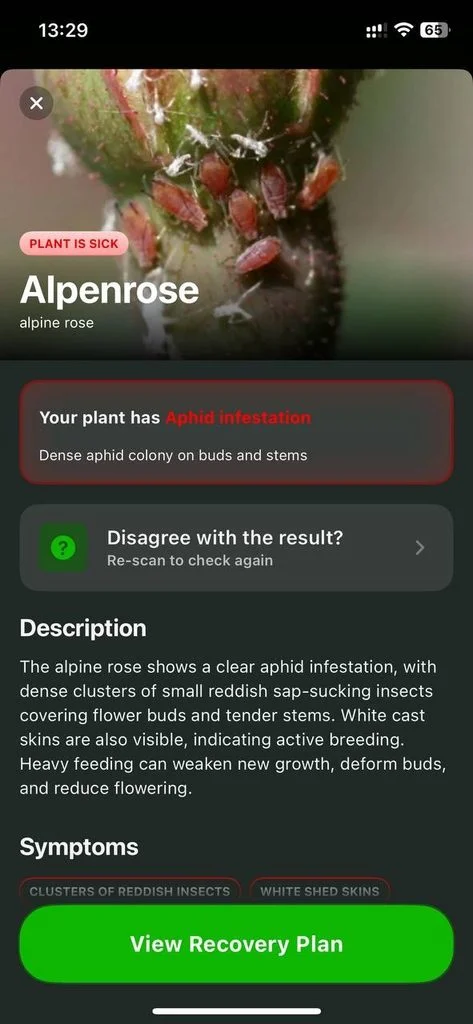 view recovery plan