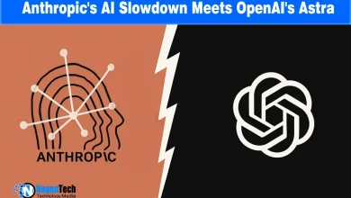 Split banner displaying Anthropic logo on the left and OpenAI logo on the right.