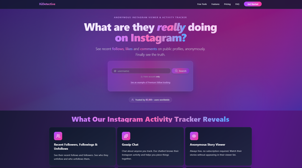 IGDetective homepage displaying its public Instagram activity tracking service | Image Credit: IGDetective